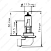 Picture of 1PC White 9006 HB4 12V 100W Car Fog Lights Halogen Bulb Headlights Lamp Car Light Source Parking 5000K