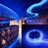 Picture of 500CM 5m 5050SMD 300LED Waterproof Car RGB LED Strip light Strip + 24 Key IR Remote